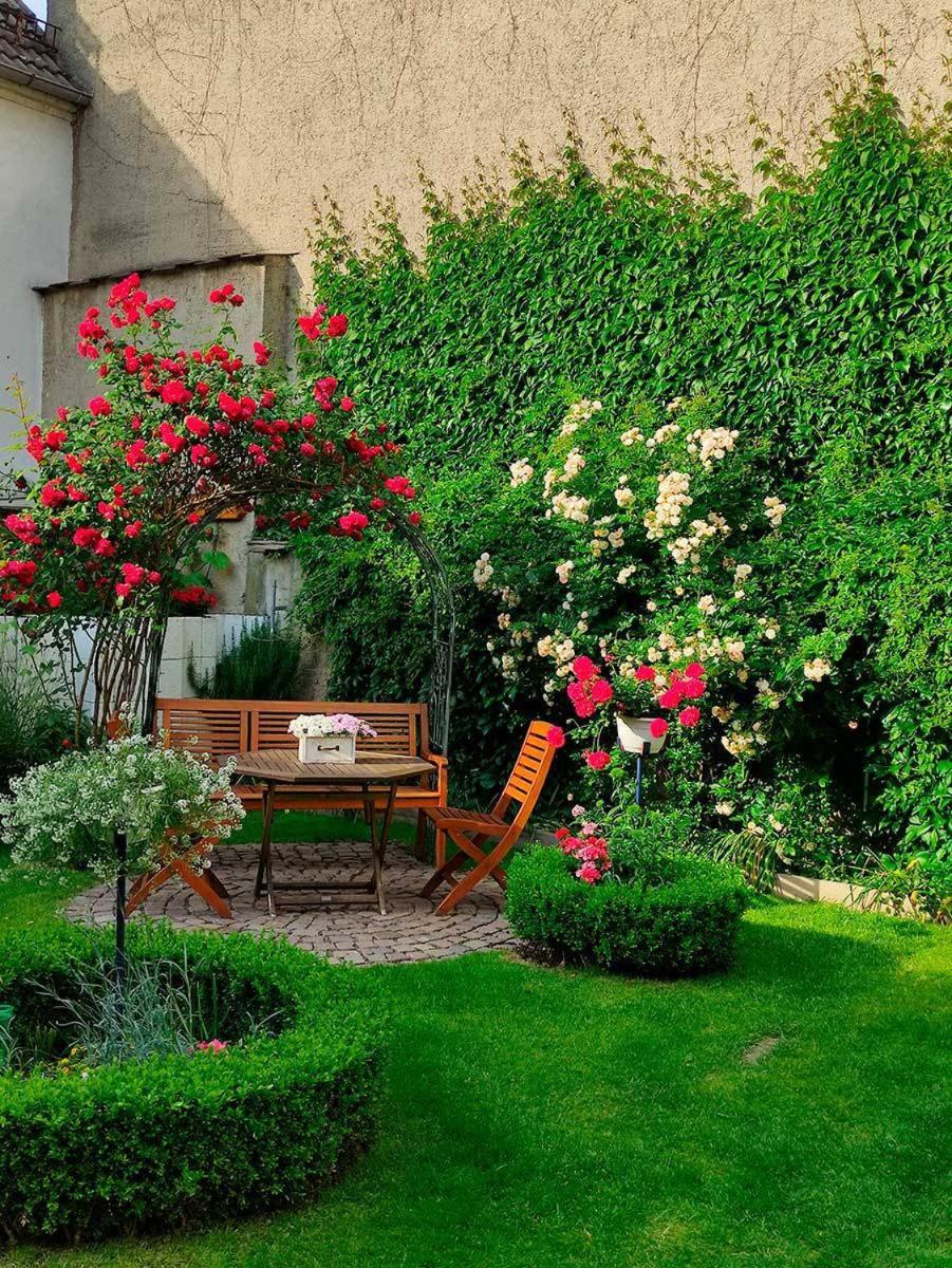 Pension Wehner Torgau Extérieur photo